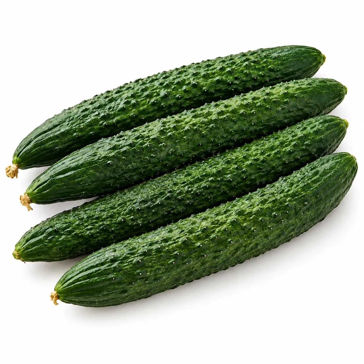 가시오이