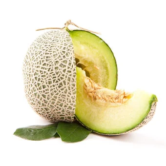 멜론(머스크)